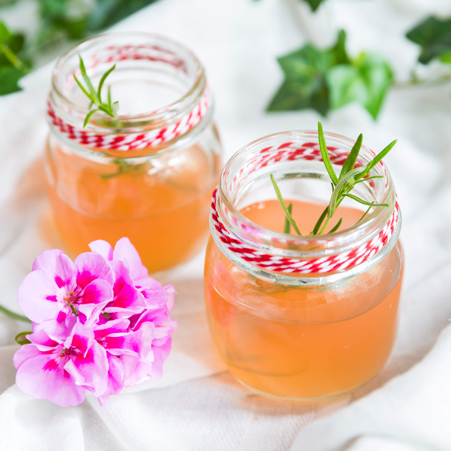 SteviaSweet | Rhabarbersaft ohne Zucker